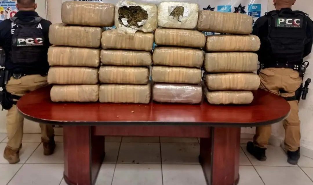 Policía Civil Coahuila decomisa droga en Múzquiz