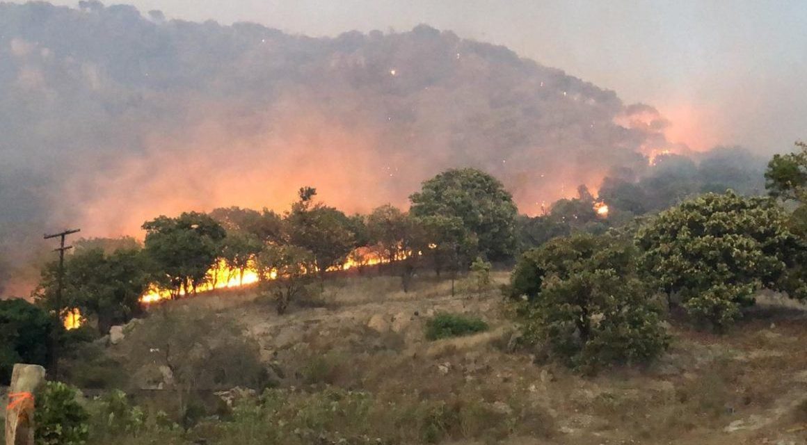 Gobierno e Iniciativa Privada harán alianza contra incendios forestales