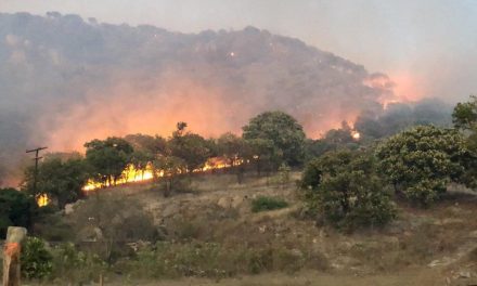 Gobierno e Iniciativa Privada harán alianza contra incendios forestales