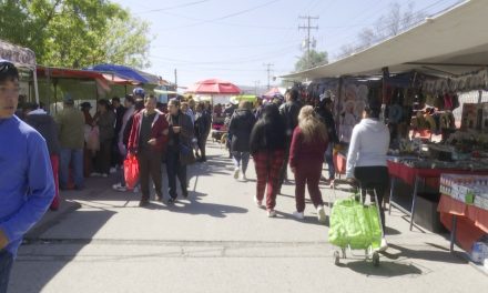 Reportan robos y circulación de billetes falsos en mercados de Saltillo