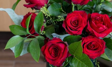 Rosas podrían incrementar hasta 10 pesos por pieza