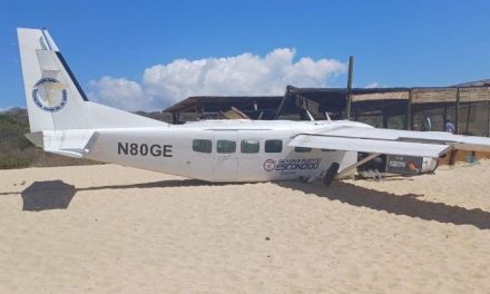Video: Avioneta aterriza de emergencia en una playa de Oaxaca y deja varios heridos