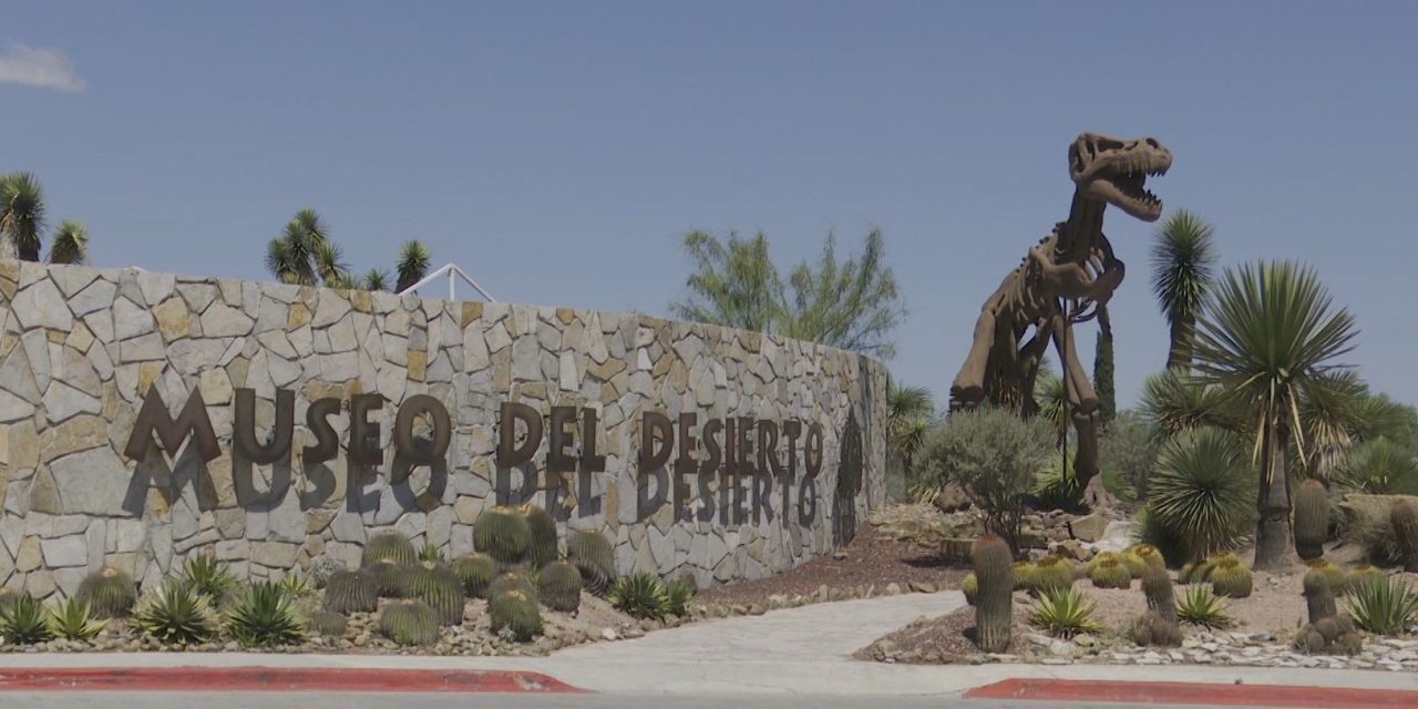 Contará Museo del Desierto con dos nuevas atracciones  este mismo año
