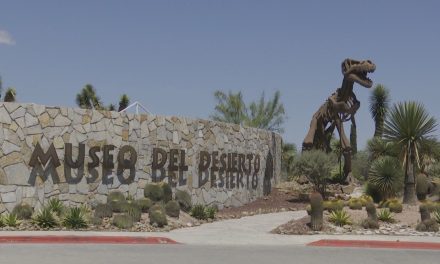 Esperan 40 mil visitantes durante Semana Santa en el Museo del Desierto