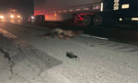 Localizan cuerpo destrozado sobre la carretera Monterrey-Saltillo