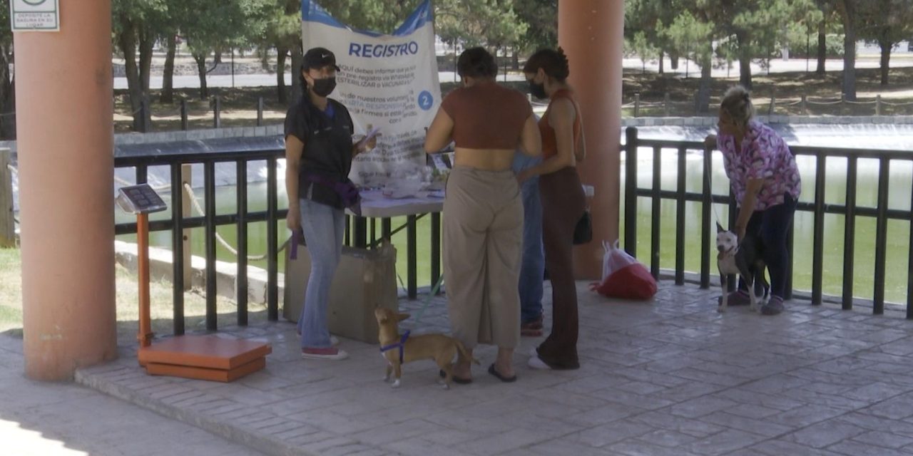 Nueva jornada de vacunación para mascotas en Ramos Arizpe