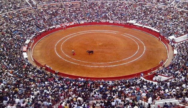 ¡Regresan los toros! Continúan los festejos en la Plaza México