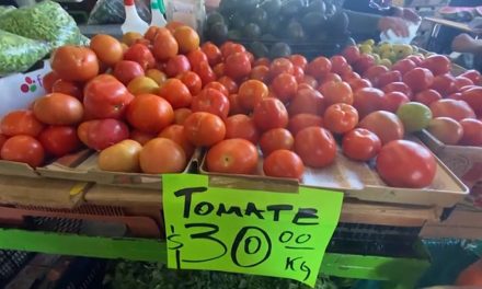 El tomate recupera su precio regular en Saltillo