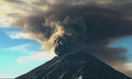 En alerta por actividad volcánica en el Popocatépetl: registra 300 exhalaciones