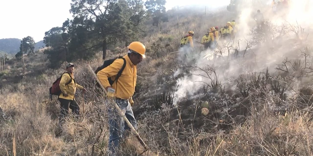 Instalarán cámaras para detectar incendios en Múzquiz
