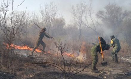 Temporada de incendios forestales se adelanta