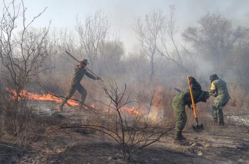 Temporada de incendios forestales se adelanta