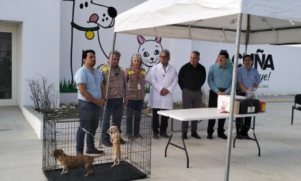 Fortalecen campaña de vacunación antirrábica en Acuña
