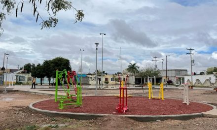 Parques públicos fomentan actividades saludables