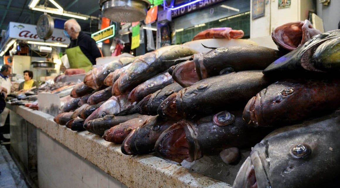 Piden tomar precauciones con ingesta de pescados y mariscos