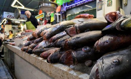 Piden tomar precauciones con ingesta de pescados y mariscos