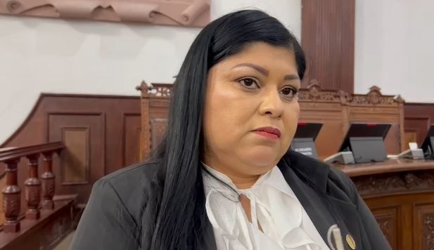 Denuncia diputada violencia de género dentro de Morena