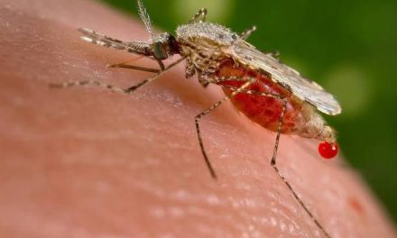 Detectan caso de malaria en mujer de Venezuela que transitaba por Coahuila