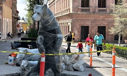 Adorna  familia de osos negros Paseo Capital