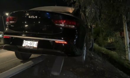 Ebrio usa árbol como rampa para terminar accidentado en Saltillo