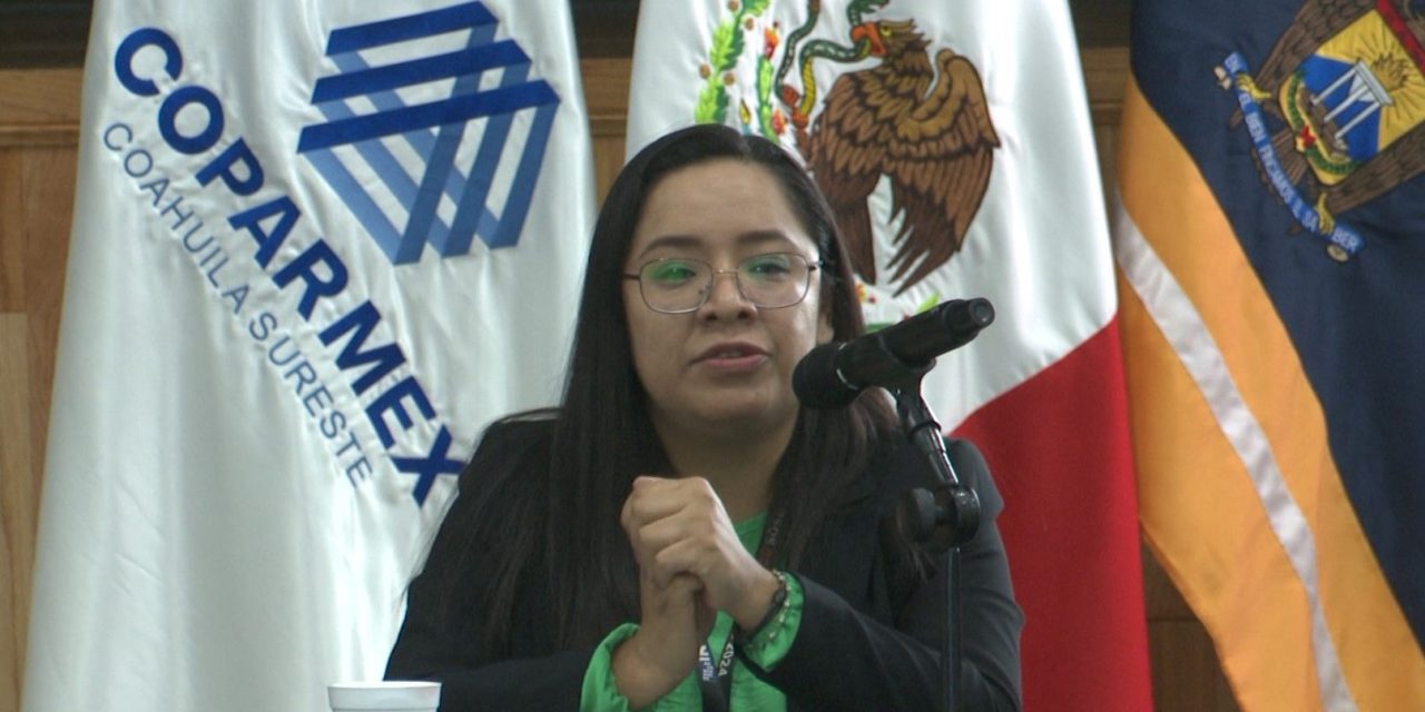 Avanza censo económico 2024