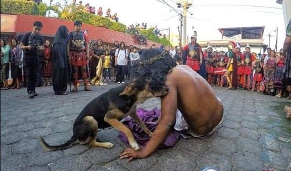 Lomito protege a Jesús durante el viacrucis de Semana Santa