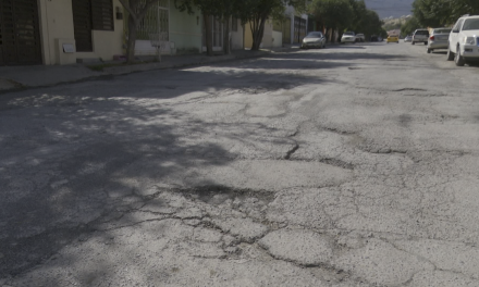 Invaden baches calles de la colonia Nogales II