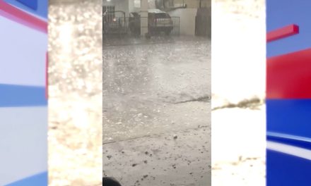Aseguradoras no quieren pagar los daños de vehículos afectados por granizada en Sabinas