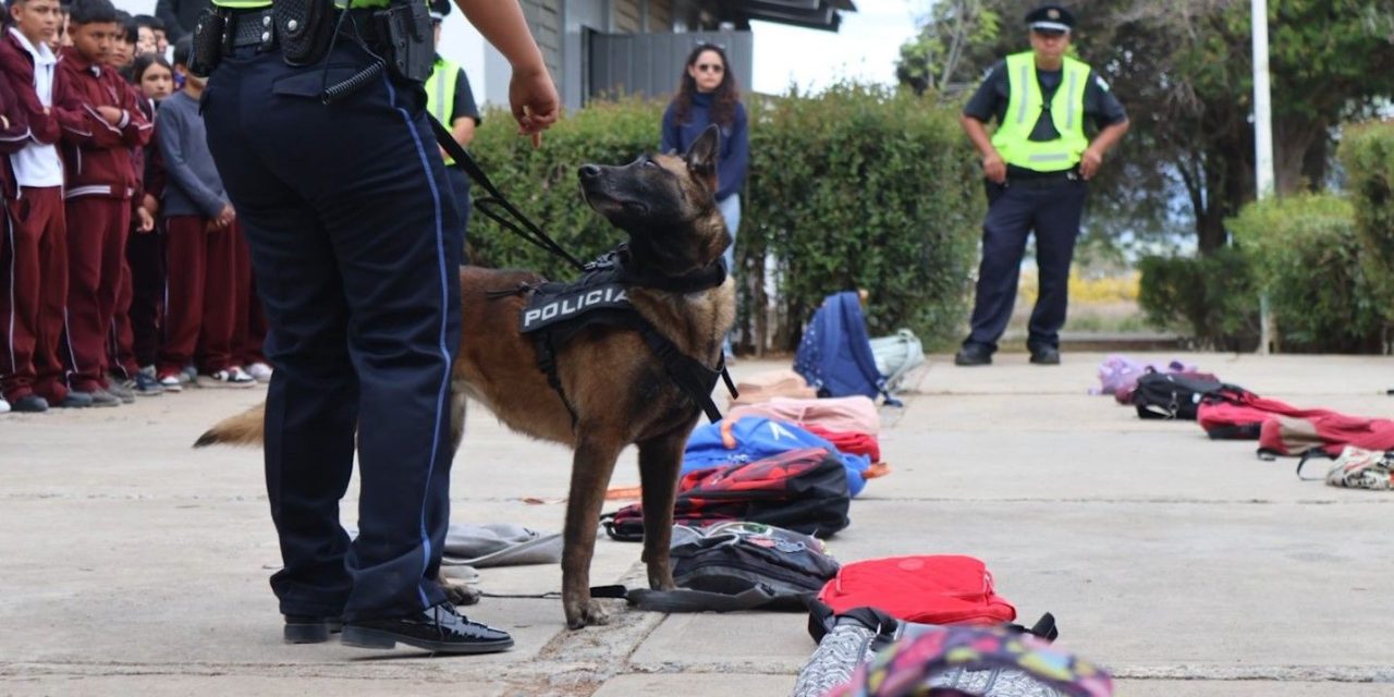 En Arteaga continúa Operativo Mochila