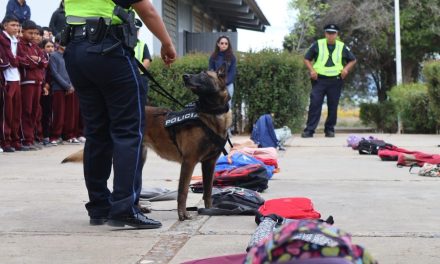 En Arteaga continúa Operativo Mochila