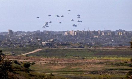 Cinco personas en la Franja de Gaza murieron tras el impacto de la ayuda humanitaria lanzada por aire