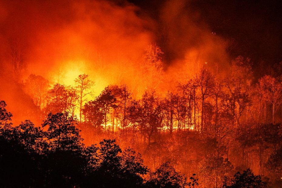 Hay 116 incendios forestales activos en el país; confirman 4 muertes