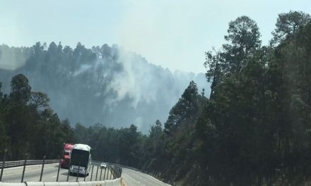Continúan 6 incendios forestales activos en el Estado de México