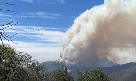 Continúan esfuerzos para extinguir incendio forestal en Zaragoza, Nuevo León