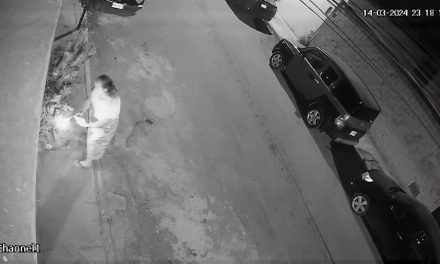 Saltillo: Mujer intenta quemar la casa del vecino