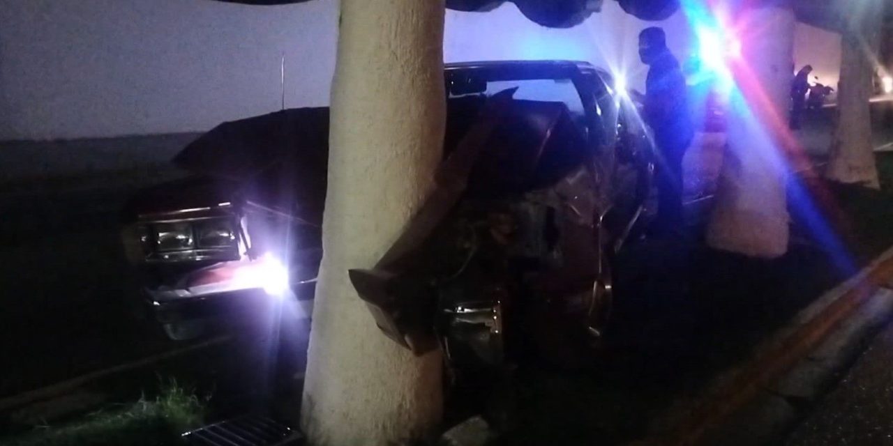 Joven se impacta con una Palma y termina lesionado en Parras