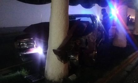 Joven se impacta con una Palma y termina lesionado en Parras