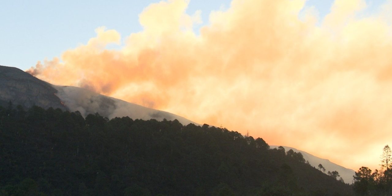 Notifica Protección Civil a habitantes… pretende que se conviertan en vigilantes de los bosques