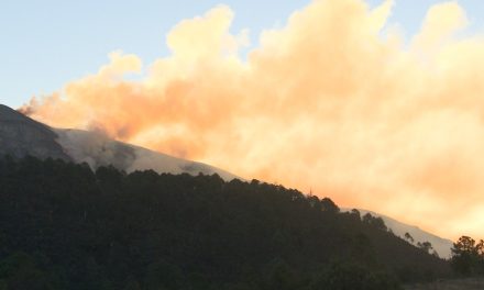 Notifica Protección Civil a habitantes… pretende que se conviertan en vigilantes de los bosques