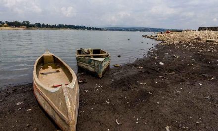 Escasez de agua amenaza la producción de agroalimentos en México