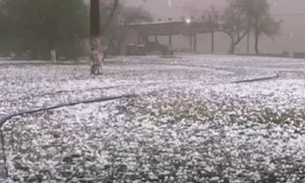 Sin daños humanos que lamentar tras granizada en la región carbonífera.
