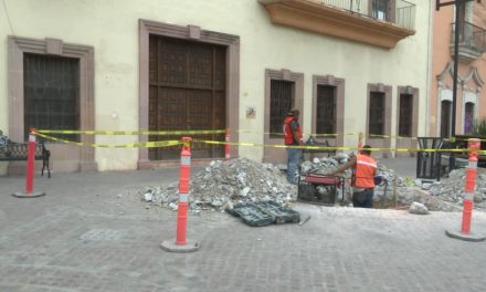 Esculturas de osos se instalan en Paseo Capital