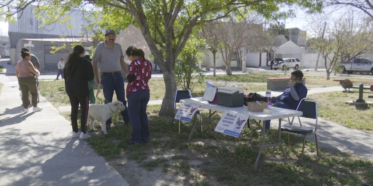 Tendrán brigada de salud animal en Ramos Arizpe