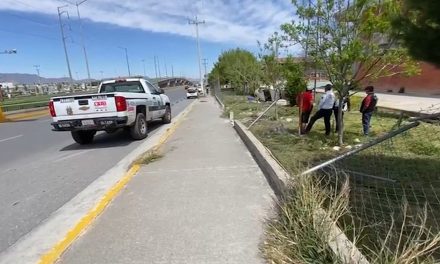 Auto se vuelca y termina al interior del COBAC