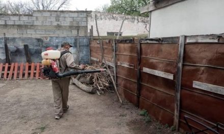 Exhortan a ciudadanos a tomar acciones para evitar el dengue