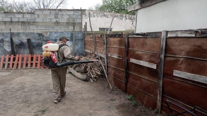 Exhortan a ciudadanos a tomar acciones para evitar el dengue
