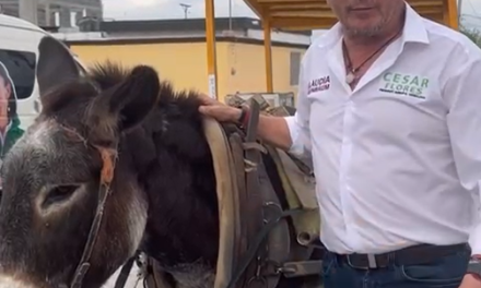 Llama César Flores burro al doctor Mario Dávila