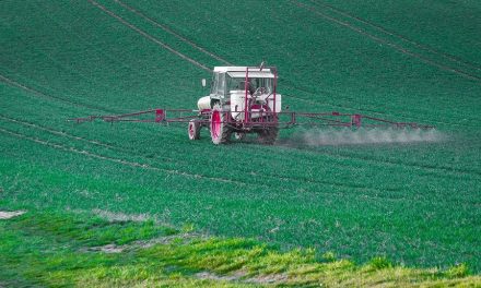 Confirma AMLO que continuará la importación de glifosato en México