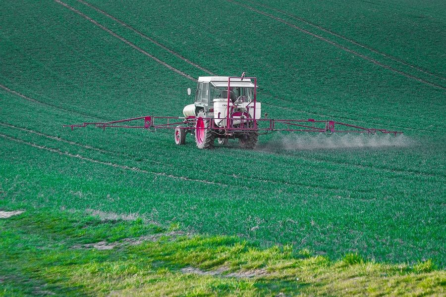 Confirma AMLO que continuará la importación de glifosato en México