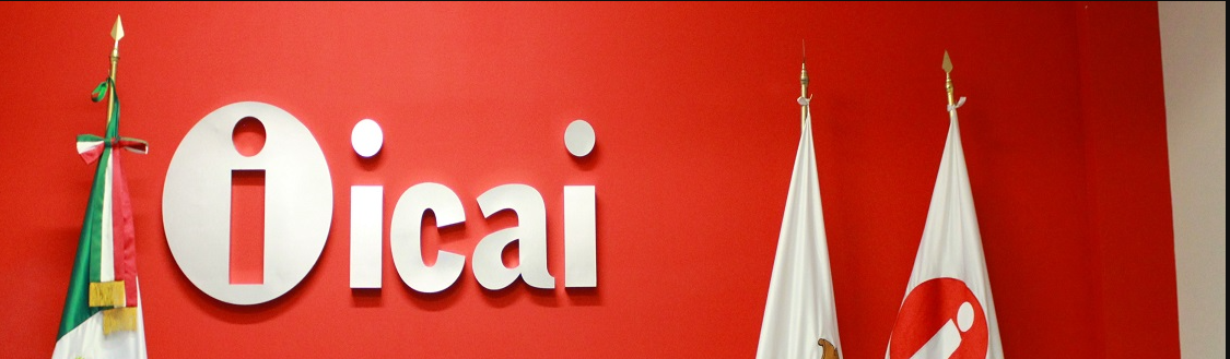 Designa Consejo General ICAI a Director General
